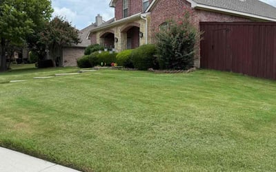 Photo of Alex H.'s yard after getting lawn care in Bethlehem, PA