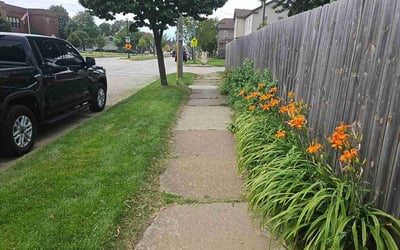 Photo of Onenicsir P.'s yard after getting lawn care in Olmsted Falls, OH