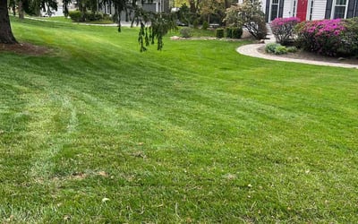 Photo of Naomi C.'s yard after getting lawn care in Downingtown, PA
