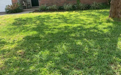 Photo of William S.'s yard after getting lawn care in Tooele, UT