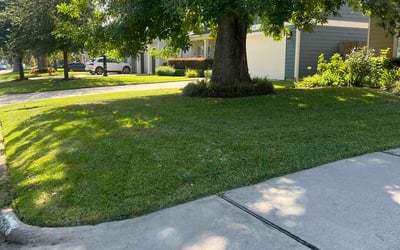 Photo of Art D.'s yard after getting lawn care in Lafayette, IN