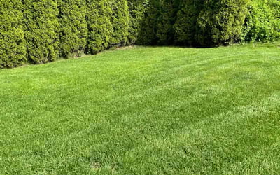 Photo of Beth K.'s yard after getting lawn care in Dallas, PA