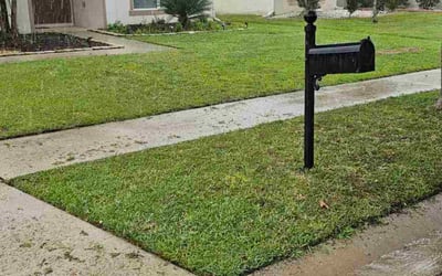 Photo of Gary H.'s yard after getting tree care in Canoga Park, CA