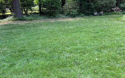 Photo of Marcia S.'s yard after getting lawn care in Henrico, VA