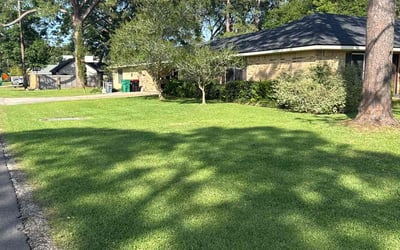 Photo of Robin A.'s yard after getting lawn care in Lafayette, LA