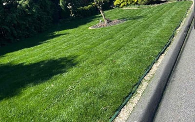 Photo of Omari M.'s yard after getting lawn care in Bartow, FL