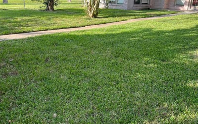 Photo of Bruce H.'s yard after getting lawn care in Dickinson, TX