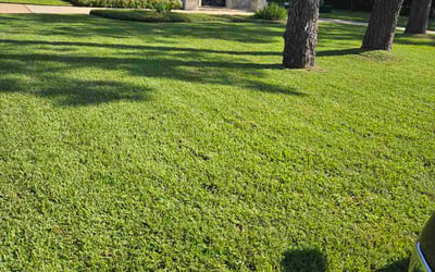 Photo of Donna S.'s yard after getting lawn care in Olympia, WA