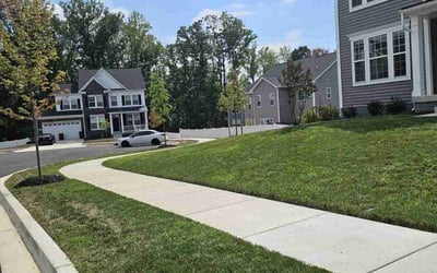 Photo of Mary C.'s yard after getting lawn care in Temple Hills, MD