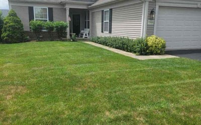Photo of Alicia S.'s yard after getting lawn care in Huntley, IL