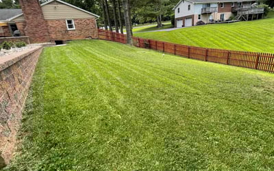 Photo of Mark P.'s yard after getting lawn care in Brunswick, MD