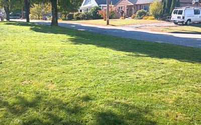 Photo of mindy m.'s yard after getting lawn care in Tewksbury, MA