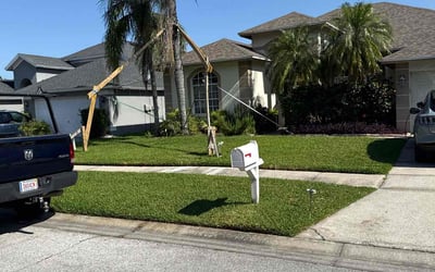 Photo of William M.'s yard after getting lawn care in El Paso, TX