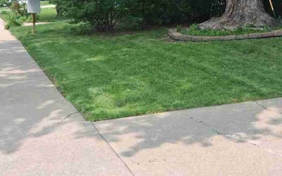 Photo of Lisa S.'s yard after getting lawn care in Baldwinsville, NY