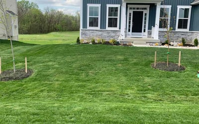 Photo of Eustace F.'s yard after getting lawn care in Hagerstown, MD