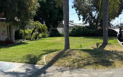 Photo of Fadra D.'s yard after getting lawn care in Thermal, CA