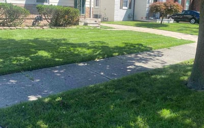 Photo of Jennifer H.'s yard after getting lawn care in Harper Woods, MI
