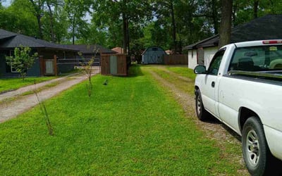 Photo of Roxanne R.'s yard after getting lawn care in Crosby, TX