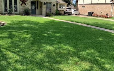 Photo of Lisa L.'s yard after getting lawn care in Westford, MA