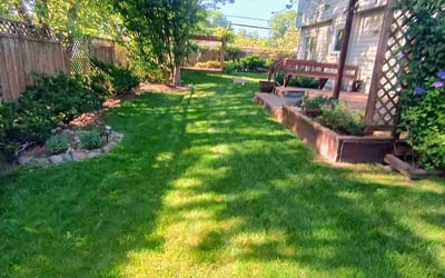 Photo of Richard M.'s yard after getting lawn care in Skokie, IL