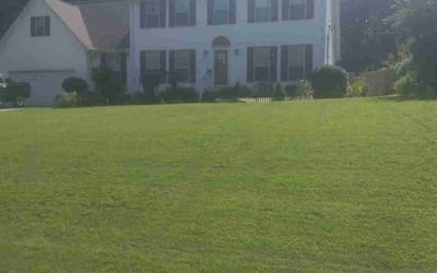 Photo of Melissa B.'s yard after getting lawn care in Jackson, TN