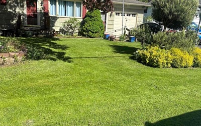 Photo of Jean D.'s yard after getting lawn care in Orange City, FL