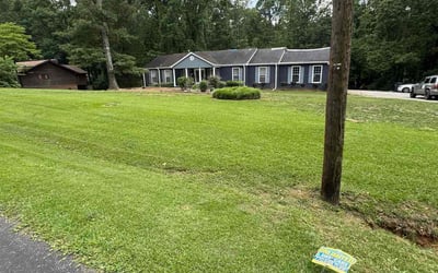 Photo of Timothy G.'s yard after getting lawn care in Denver, CO