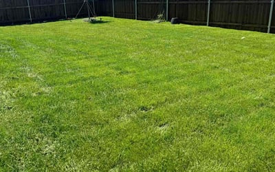 Photo of Christopher F.'s yard after getting lawn care in Humble, TX