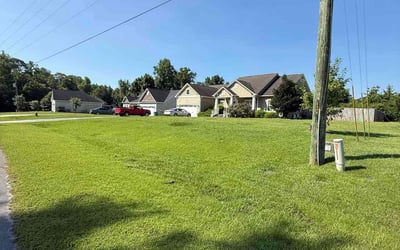 Photo of Greg L.'s yard after getting lawn care in Riverview, FL