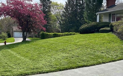 Photo of Ryan M.'s yard after getting lawn care in Canastota, NY