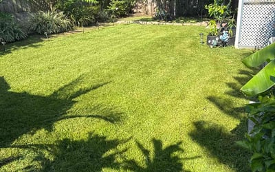Photo of Meet D.'s yard after getting lawn care in New Brunswick, NJ