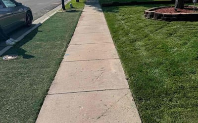 Photo of Leslie L.'s yard after getting lawn care in Sandy, UT
