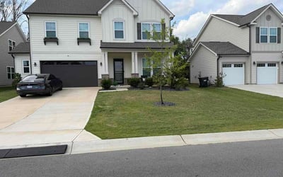Photo of Jamila C.'s yard after getting lawn care in Greenville, SC