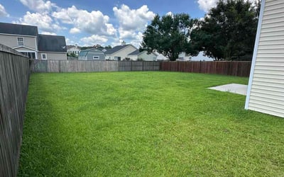 Photo of Tarsha A.'s yard after getting lawn care in Ruther Glen, VA