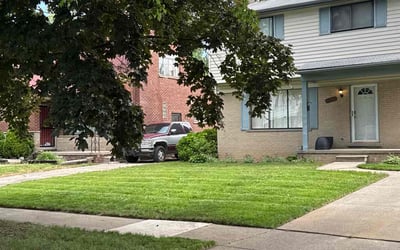 Photo of Dave H.'s yard after getting lawn care in Sulphur, LA