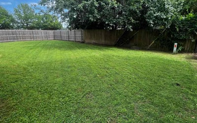 Photo of Justin D.'s yard after getting lawn care in Okmulgee, OK