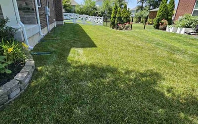 Photo of David C.'s yard after getting lawn care in Austin, TX