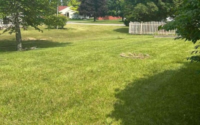 Photo of Cole A.'s yard after getting lawn care in Panama City, FL