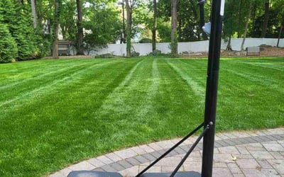 Photo of Kenny R.'s yard after getting lawn care in Hampton, VA