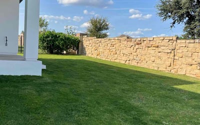 Photo of Cindy H.'s yard after getting lawn care in Leander, TX