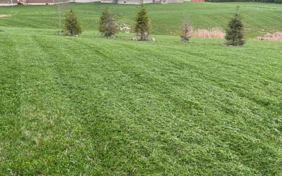 Photo of Abigail W.'s yard after getting lawn care in Lebanon, OH