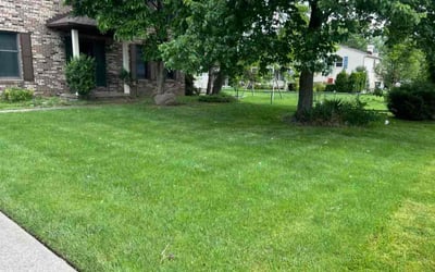 Photo of Dave K.'s yard after getting lawn care in North Royalton, OH