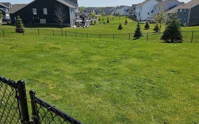 Photo of Chad L.'s yard after getting lawn care in Cottage Grove, MN
