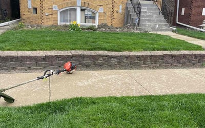Photo of Thomas S.'s yard after getting lawn care in Elmwood Park, IL