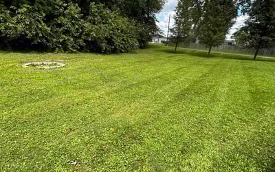 Photo of Patricia T.'s yard after getting lawn care in Anderson, IN