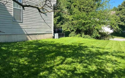 Photo of Minnie R.'s yard after getting lawn care in Randallstown, MD