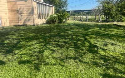 Photo of lisa p.'s yard after getting lawn care in Baytown, TX
