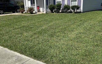 Photo of Jessica J.'s yard after getting lawn care in Eden, NC
