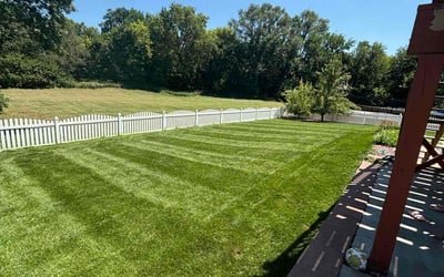 Photo of Adriean H.'s yard after getting lawn care in Atlanta, GA