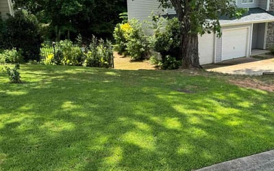 Photo of Tina H.'s yard after getting lawn care in Fairfield, OH